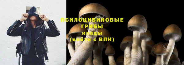 марки lsd Аркадак