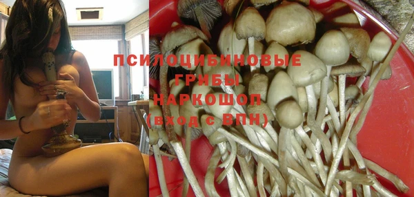синтетический гашиш Арсеньев