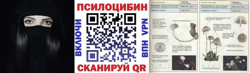 Псилоцибиновые грибы GOLDEN TEACHER  Купить  Суздаль 